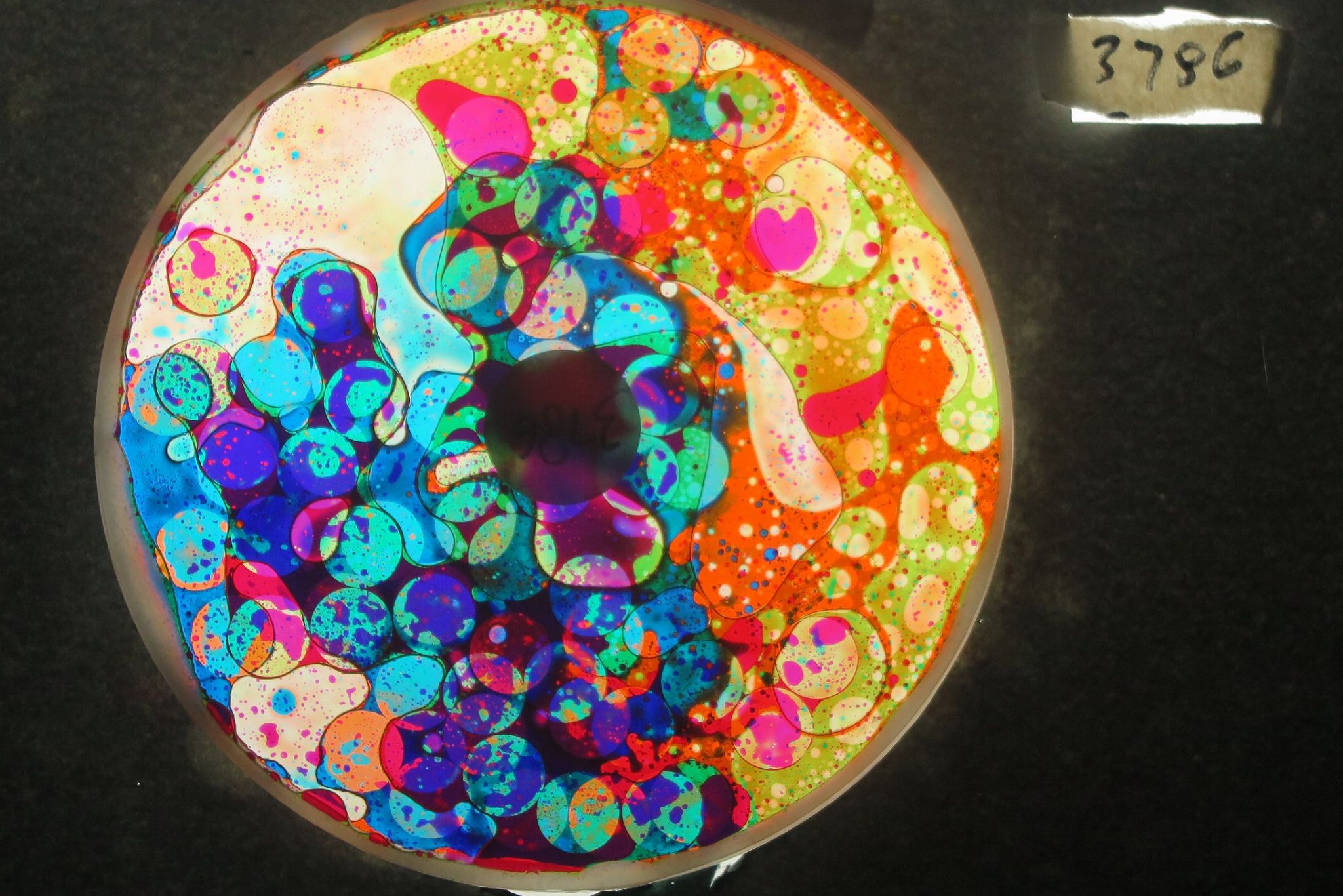 BV3786 bubble vision oil wheel